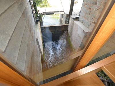 Picture 9